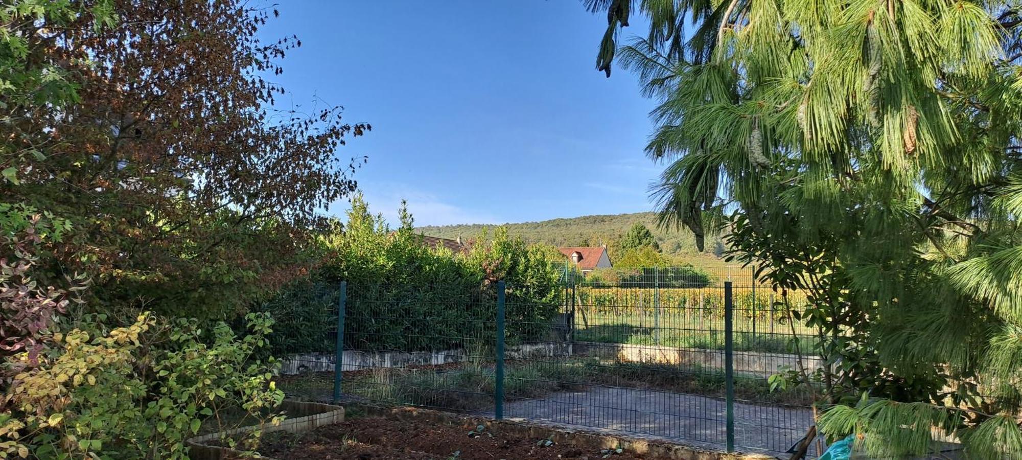Villa Des Climats Bourgogne マルサネ・ラ・コート エクステリア 写真